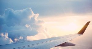 Best Spots to See Wildlife in the U.S.