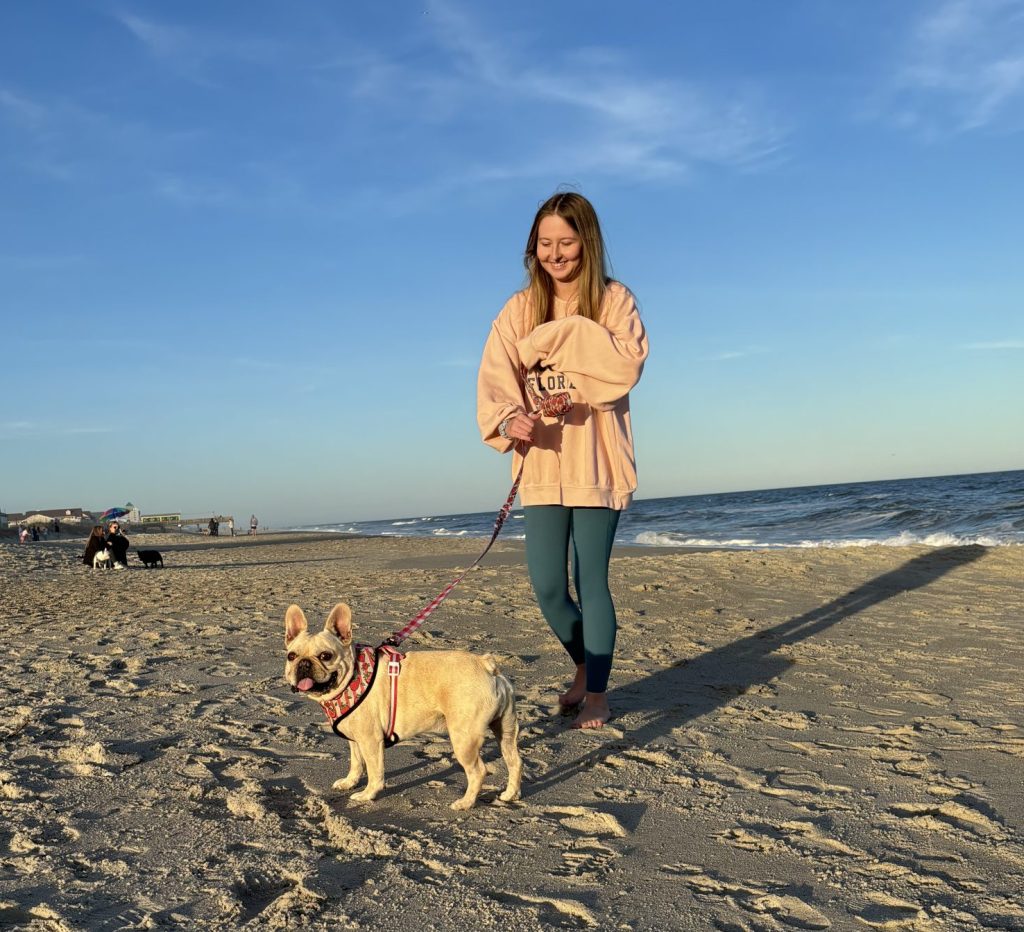 Carolina Beach Visitors Dogs On Beach Rules