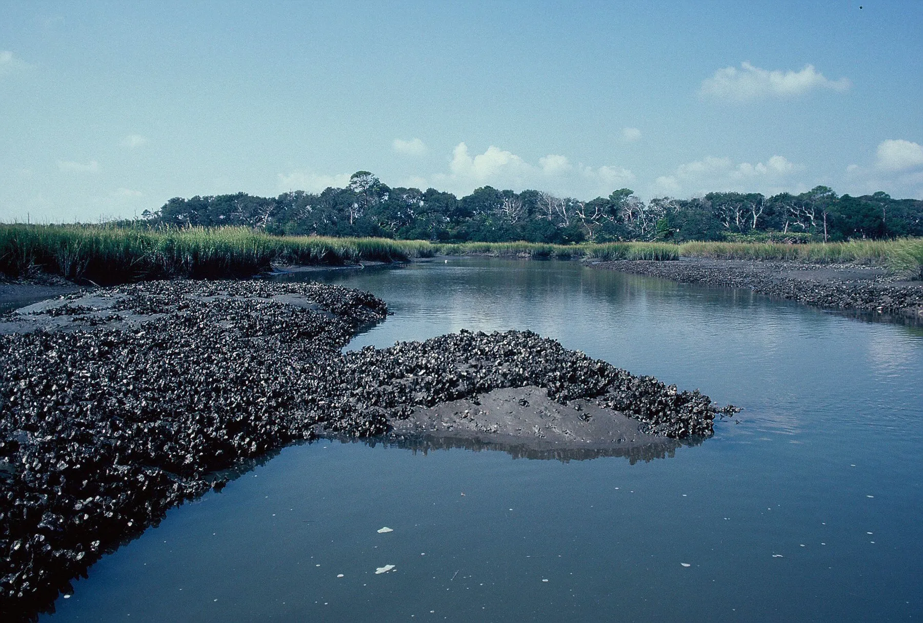 Carolina Beach Visitors fishing3