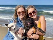 New Dog Regulations For 2026