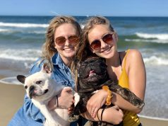 New Dog Regulations For 2026