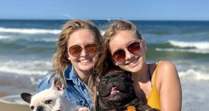 New Dog Regulations For 2026