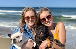 New Dog Regulations For 2026