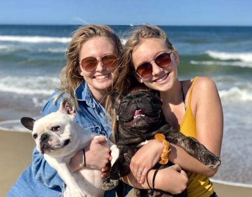New Dog Regulations For 2026